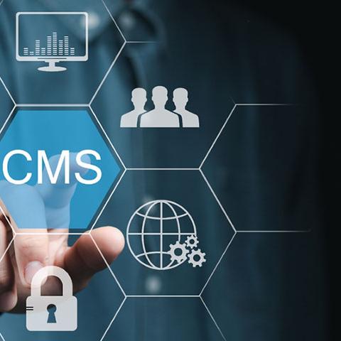 IT-Enabled Services (ITES): Driving Business Efficiency Through Technology